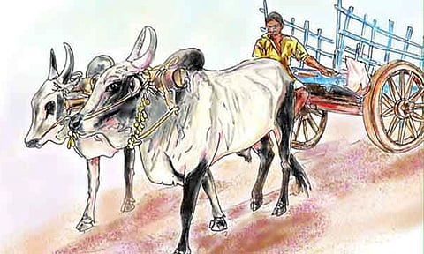 மாட்டுவண்டி பந்தயம்