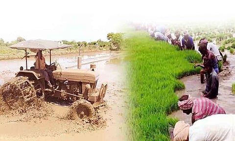 கோப்பு படம்