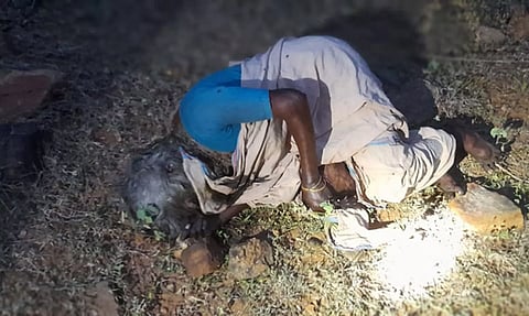 வனப்பகுதியில் அழுகிய நிலையில் பிணமாக கிடந்த மூதாட்டி