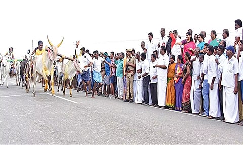 மாட்டு வண்டி போட்டியை கனிமொழி எம்.பி. தொடங்கி வைத்த காட்சி. அருகில் அமைச்சர் கீதாஜீவன், மார்க்கண்டேயன் எம்.எல்.ஏ. மற்றும் பலர் உள்ளனர்.