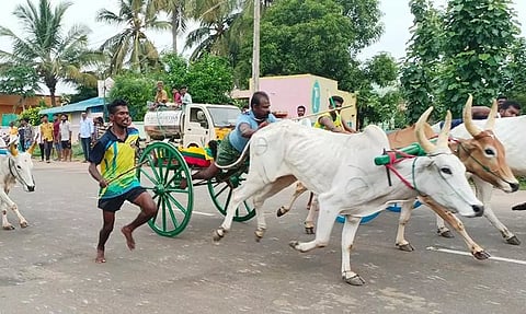 போட்டியில் சீறிப்பாய்ந்த கானைகள்
