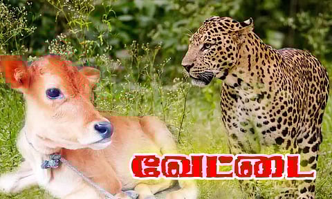 கோப்பு படம்