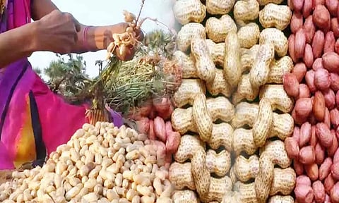 கோப்பு படம்