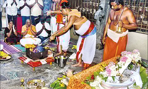 பழனி பெரியநாயகி அம்மன் கோவிலில் அன்னாபிஷேகம்