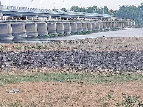 வறண்ட நிலையில் காணப்படும் முக்காணி -ஆத்தூரை இணைக்கும் தாமிரபரணி ஆற்றின் கடைசி பாலப்பகுதி.