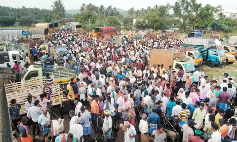 அய்யலூர் சந்தையில் குவிந்த விவசாயிகள், வியாபாரிகள்.