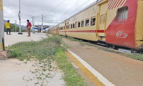குமரி மாவட்டத்தில் புதர்மண்டி காணப்படும் ரெயில்வே பிளாட்பாரங்கள்