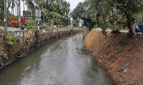 பேச்சிப்பாறை அணையில் இருந்து விவசாய பாசனத்துக்காக கொட்டாரம் புத்தனாறு கால்வாயில் மீண்டும் தண்ணீர் திறப்பு