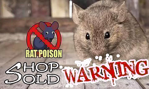 கோப்பு படம்