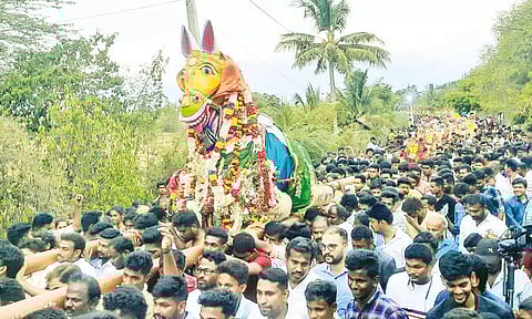 புரவி எடுப்பு திருவிழா நடைபெற்றதை படத்தில் காணலாம்.