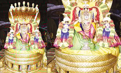 பெரிய சேஷ வாகனத்தில் உற்சவர்கள் எழுந்தருளி பக்தர்களுக்கு அருள்பாலித்த காட்சி.