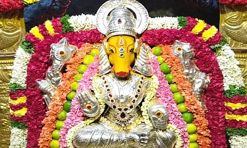 கோப்புப்படம்.