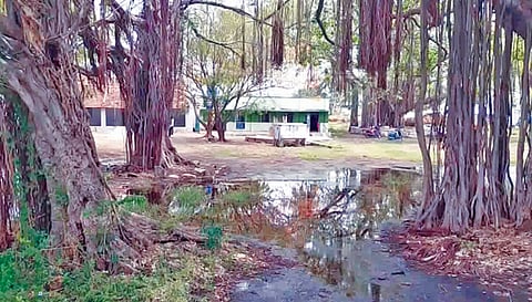 பள்ளி வளாகத்தில் மழை நீர் தேங்கி கிடக்கும் காட்சி.