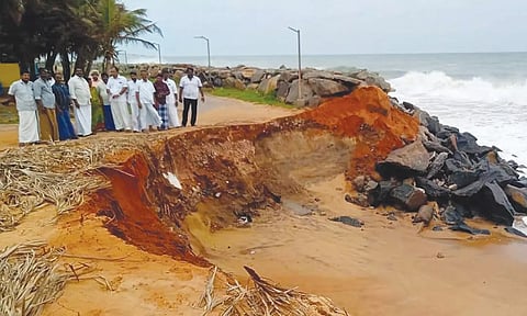 கொட்டில்பாட்டில் கடலரிப்பு பகுதியை பிரின்ஸ் எம்.எல்.ஏ. பார்வையிட்டார்