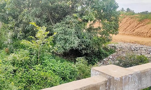 கொல்லப்பள்ளியில் இருந்து எனு சோனை செல்லும் சாலையில் உள்ள பாலத்தின் கால்வாயில் முட்புதர்கள் நிறைந்து காணப்படுவதை படத்தில் காணலாம்.