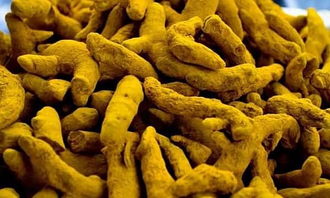 ஈரோட்டில் ஒரு குவிண்டால் மஞ்சள் ரூ.10 ஆயிரத்தை நெருங்கியது