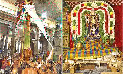 கொடி ஏற்றப்பட்டதையும், சிறப்பு அலங்காரத்தில் தர்மசம்வர்த்தினி அம்மன் அருள்பாலித்ததையும் காணலாம்.