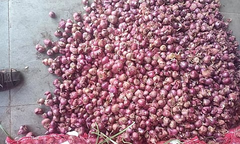 ஒட்டன்சத்திரம் மார்க்கெட்டுக்கு விற்பனைக்கு கொண்டுவரப்பட்ட வெங்காயம்.