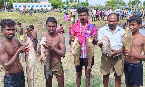 மீன்பிடி திருவிழாவில் உற்சாகமாக மீன்களை பிடித்த வாலிபர்கள்.