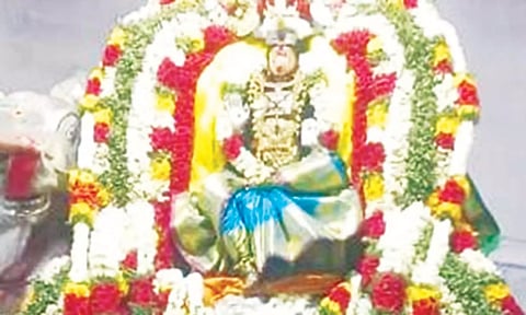 சிறப்பு அலங்காரத்தில் எழுந்தருளிய வேதநாயகி அம்மன்.