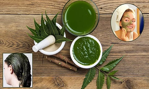 முகப்பரு, பொடுகு தொல்லை: வேம்புவை எப்படி பயன்படுத்தலாம்..