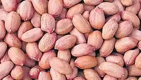 நிலக்கடலை காய் ரூ.38 ஆயிரத்து 786-க்கு விற்பனை