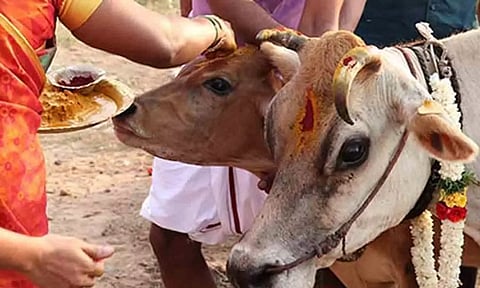 கோப்புபடம்