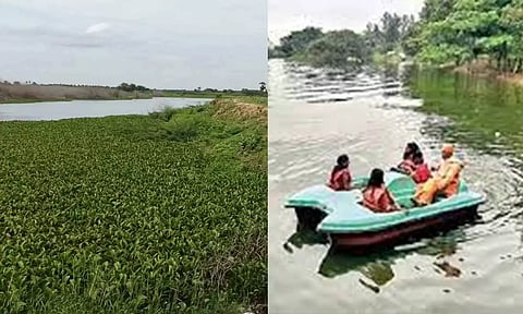செல்லிக்குறிச்சி ஏரியை தூர்வாரி படகு சவாரி ஏற்படுத்த வேண்டும்
