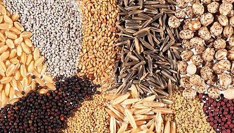 மானிய விலையில் விதைகள் விநியோகம்