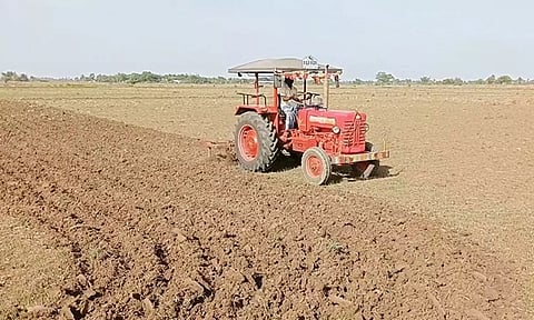 கருகிய பயிர்களை டிராக்டரை கொண்டு அழிக்கும் விவசாயி.