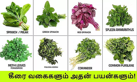 கீரையின் வகைகளும்... சத்துக்களும்...