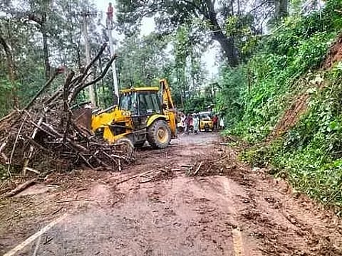 கூடலூரில் மழையால் மரம் முறிந்து போக்குவரத்து பாதிப்பு