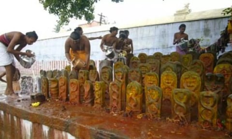 கால சர்ப்ப தோஷம் நீங்கும் பரிகாரம்