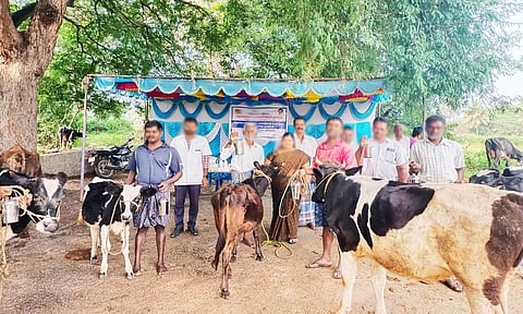 சிறப்பு கால்நடை மருத்துவ முகாம்