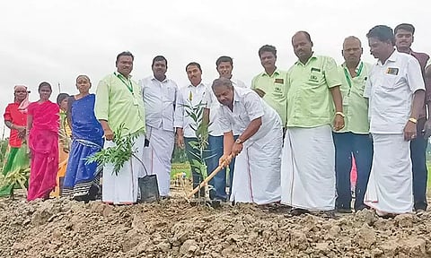 பசுமை தாயக தினத்தில் சுற்றுச்சூழலை பாதுகாக்கும் நோக்கில் எம்.எல்.ஏ. வெங்கடேஸ்வரன் மரக்கன்றுகளை நட்டு வைத்து தொடங்கி வைத்தார்.