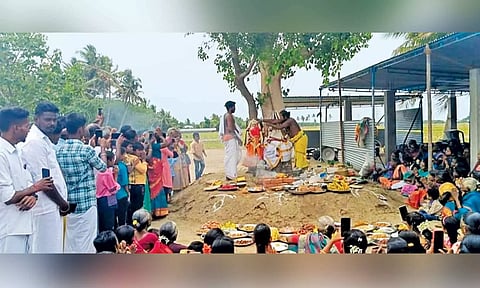 அரசு- வேம்பு மரங்களுக்கு திருமணம் நடந்தது.