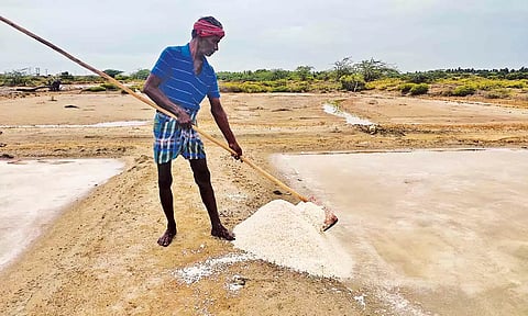 உப்பு சேகரிக்கும் பணியில் ஈடுபட்டுள்ள தொழிலாளி.