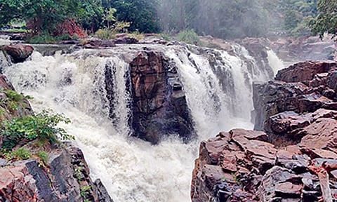 ஒகேனக்கல் ஐந்தருவியில் தண்ணீர் சீறிபாய்ந்து செல்வதை காணலாம்.