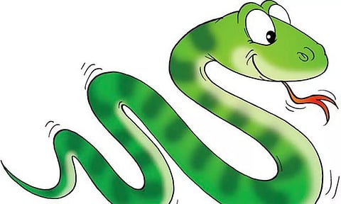 வீட்டில் தூங்கிய தந்தை-மகளை பாம்பு கடித்தது: ஆஸ்பத்திரியில் தீவிர சிகிச்சை