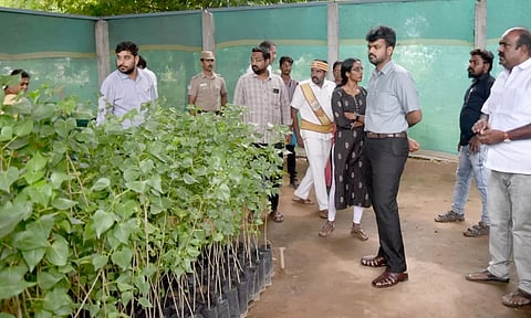 கலெக்டர் ராஜகோபால் சுன்கரா லட்சுமி நகர் பகுதியில் அமைக்கப்பட்டுள்ள நாற்று பண்ணையை பார்வையிட்டு ஆய்வு செய்தார்.