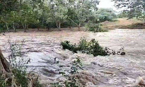 மாயாற்றின் குறுக்கே கரை புரண்டு ஓடும் வெள்ளத்தை படத்தில் காணலாம்.