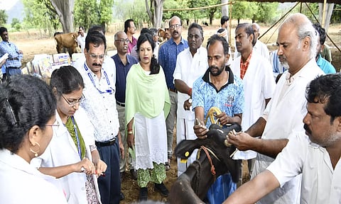 சிறப்பு கால்நடை மருத்துவமுகாமை கலெக்டர் ஷஜீவனா தொடங்கி வைத்து பார்வையிட்டார்.