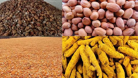 வாழப்பாடி ஒழுங்குமுறை விற்பனை கூடத்தில் தேங்காய் பருப்பு, நிலக்கடலை, மஞ்சள், மக்காச்சோளம் ஏலம்