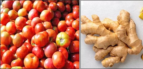 காய்கறிகள் விலை மீண்டும் உயர்வு: நெல்லை மார்க்கெட்டுகளில் தக்காளி கிலோ ரூ.120-க்கு விற்பனை