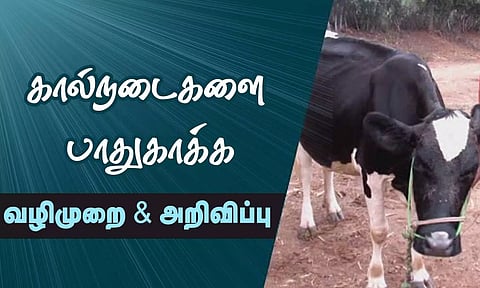 கோப்பு படம்.