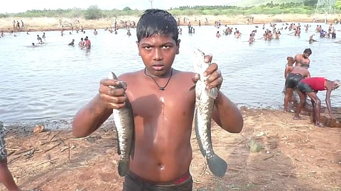 13 ஆண்டுகளுக்கு பின் நடைபெற்ற மீன்பிடி திருவிழா