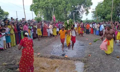 திட்டக்குடி அருகே மாரியம்மன் கோவிலில் தீமிதி திருவிழா 
