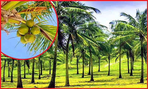 கோப்பு படம்.