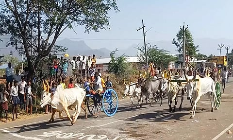 மாட்டு வண்டி பந்தயத்தில் சீறிப்பாய்ந்து சென்ற காளைகள்.