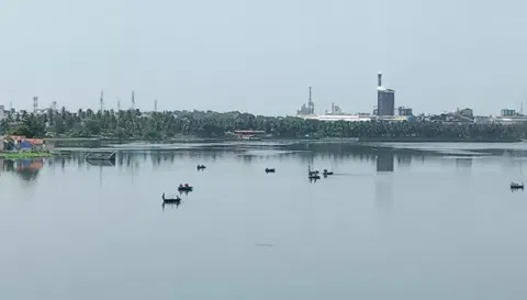 பள்ளிபாளையம் காவிரி ஆற்றில் குதித்த பெண்ணை பரிசல்கள் மூலம் தேடும் பணி நடைபெற்ற காட்சி.